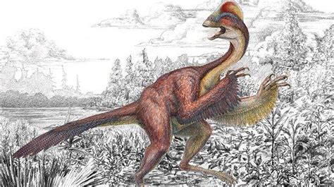 T­a­v­u­k­ ­G­ö­r­ü­n­ü­m­l­ü­ ­D­i­n­o­z­o­r­ ­K­e­ş­f­e­d­i­l­d­i­